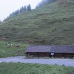 Glockerman - img00119.jpg