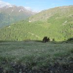 Glockerman - img00182.jpg
