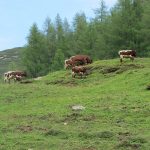 Glockerman - img00214.jpg