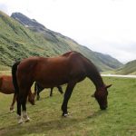 RAA2011 - img00104.jpg