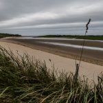 RAIday3 - RAI_3-29-z-45.jpg