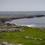 RAIday3 - RAI_3-15-z-45.jpg
